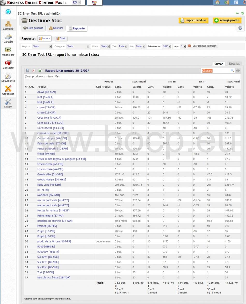 raport lunar gestiune stoc